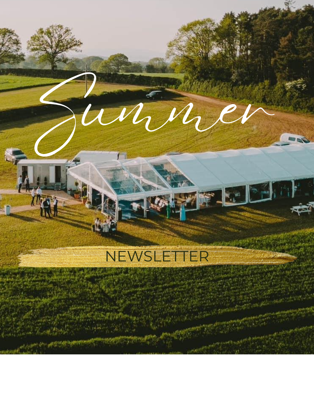 Newsletter (Instagram Post (45))